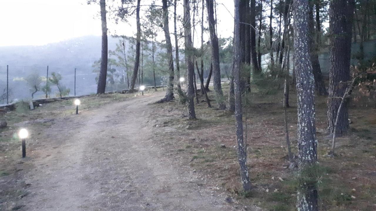 Casinha Do Cedro Βίλα Baião Εξωτερικό φωτογραφία