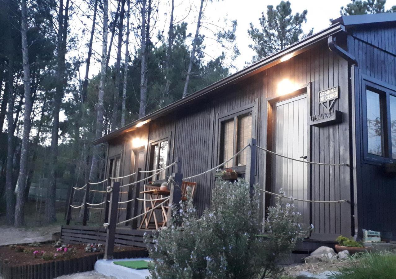 Casinha Do Cedro Βίλα Baião Εξωτερικό φωτογραφία