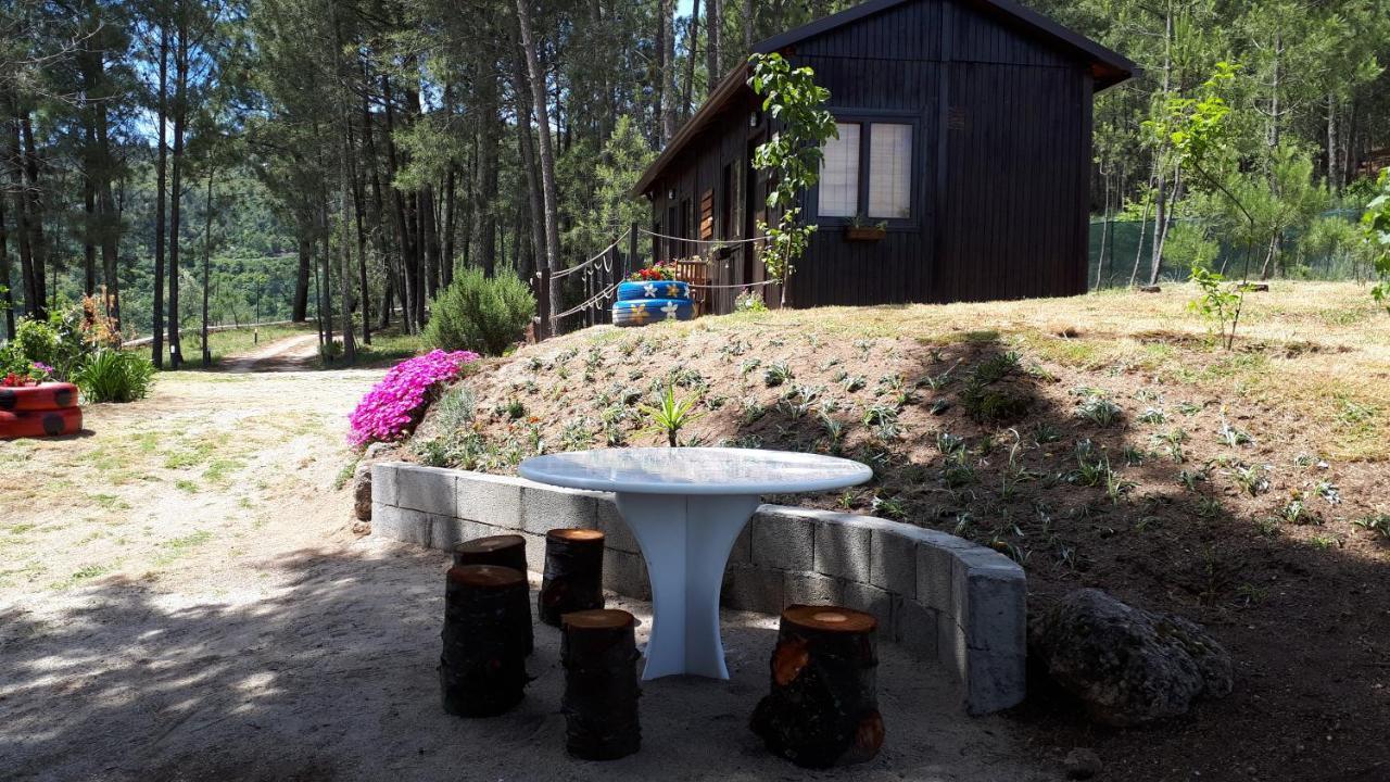 Casinha Do Cedro Βίλα Baião Εξωτερικό φωτογραφία